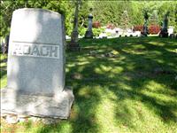 Roach Lot Overview